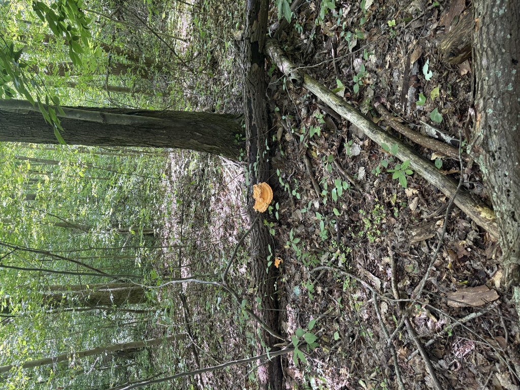 Picture 28