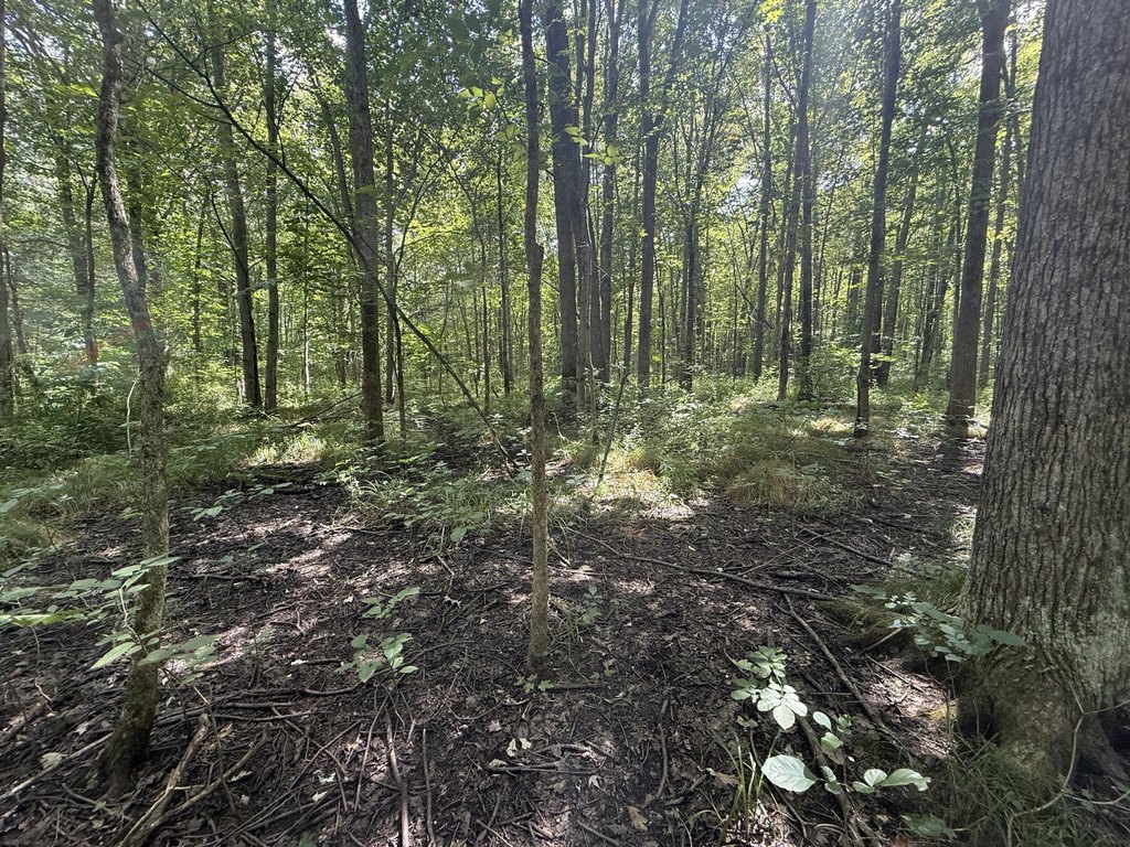 Picture 25