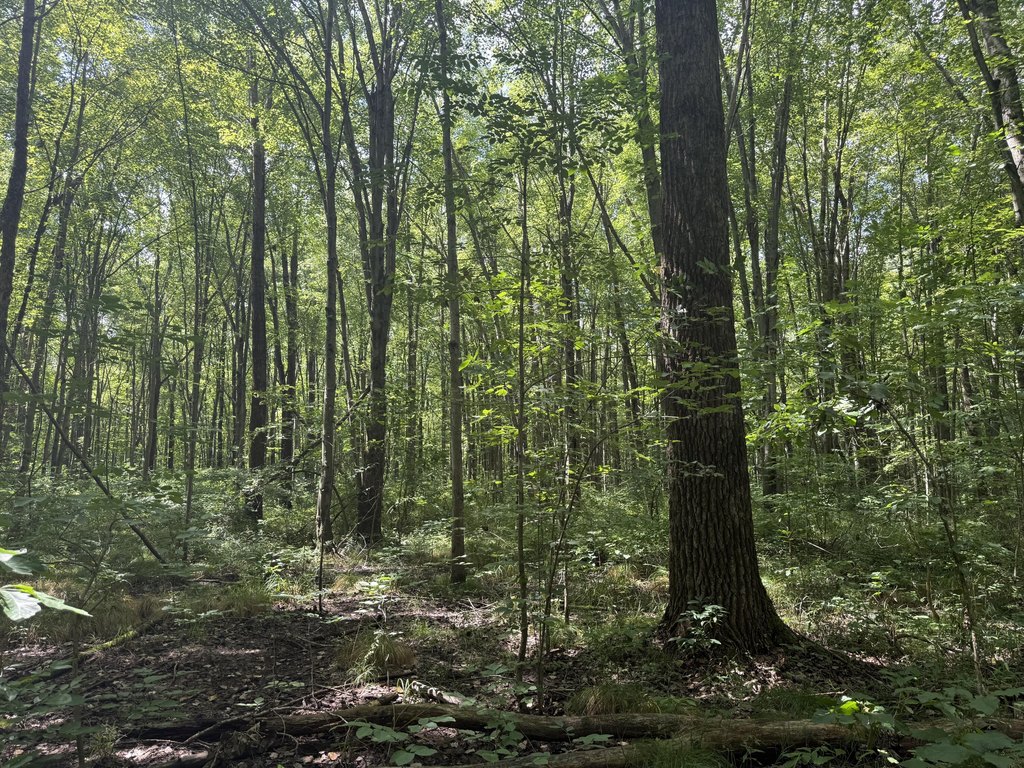Picture 27