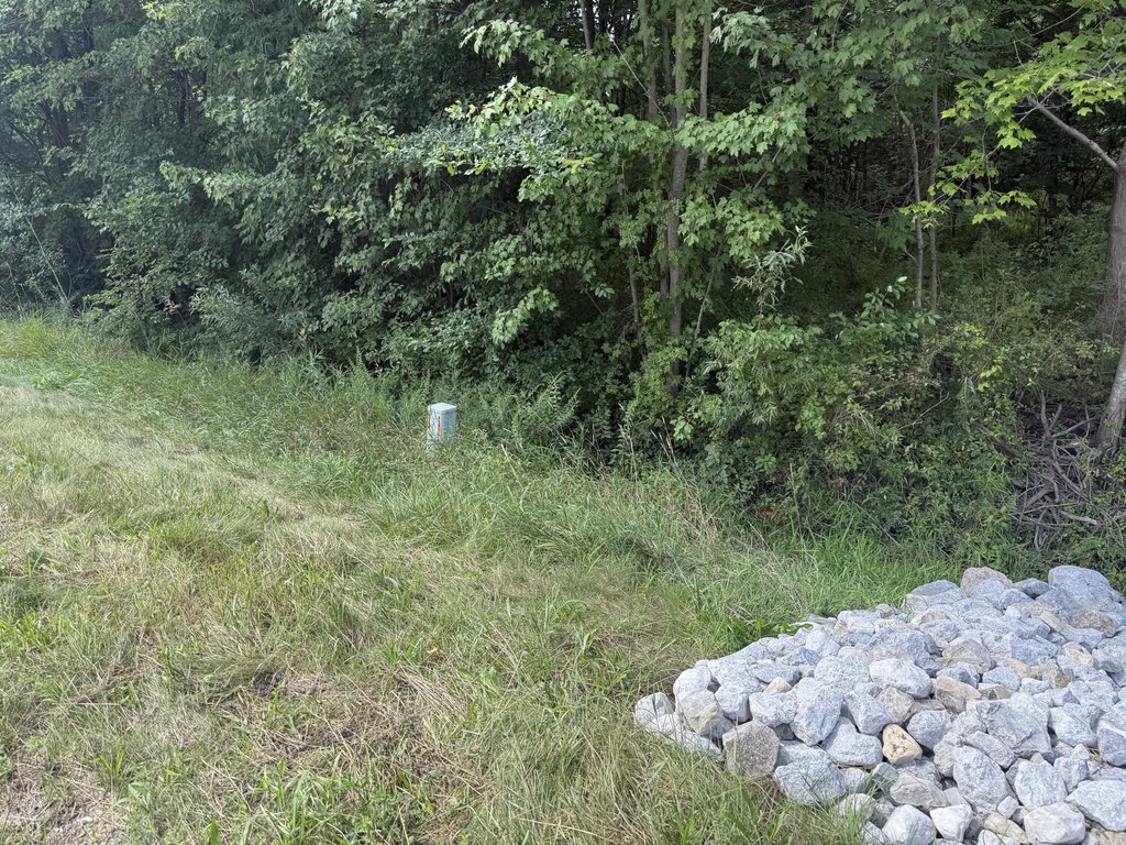 Picture 11