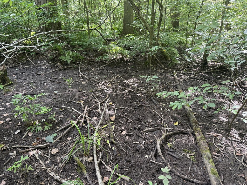 Picture 34