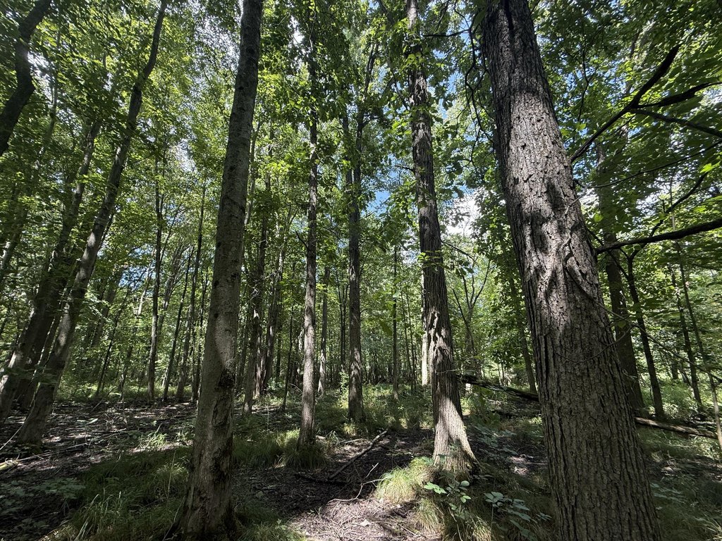 Picture 24