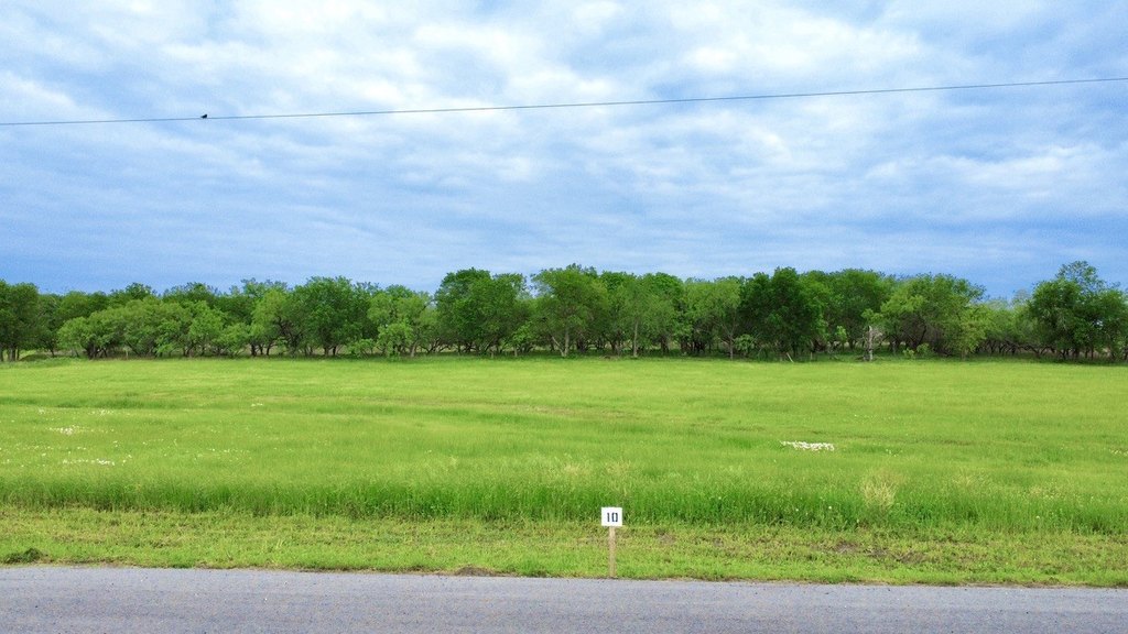 Picture 6