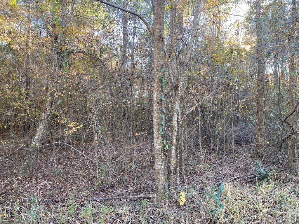 Picture 14