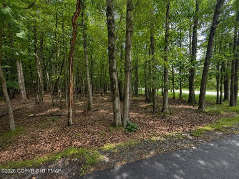 LAND - Albrightsville, PA