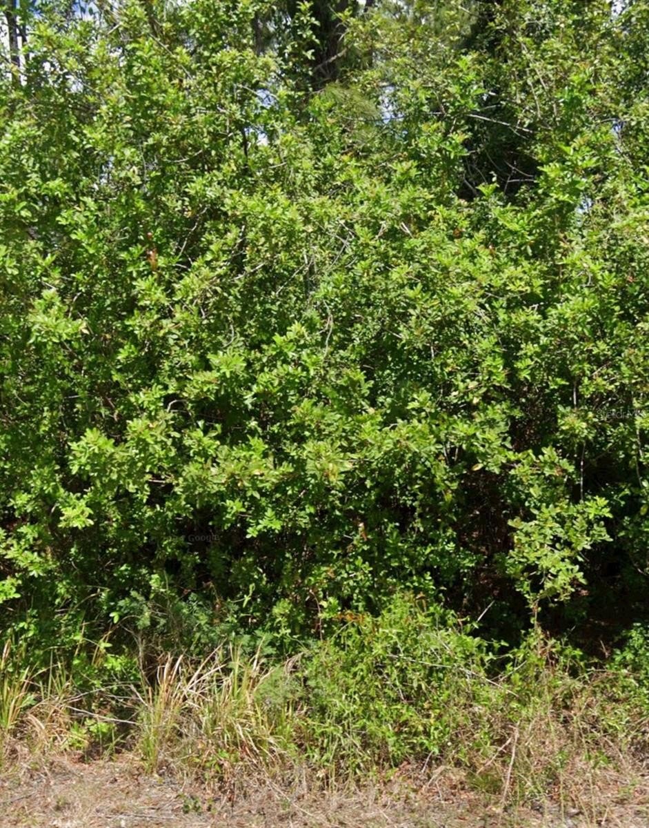 Residential Lots in Lake Placid