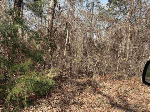 Lake Palestine Lot in Bullard