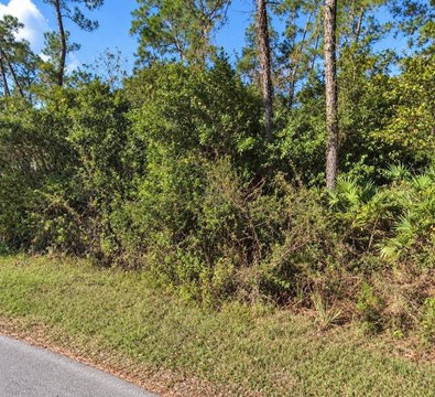 Land, ASTOR, FL