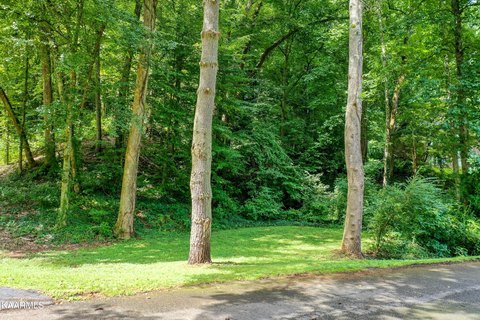 Knoxville Land for Dream Home