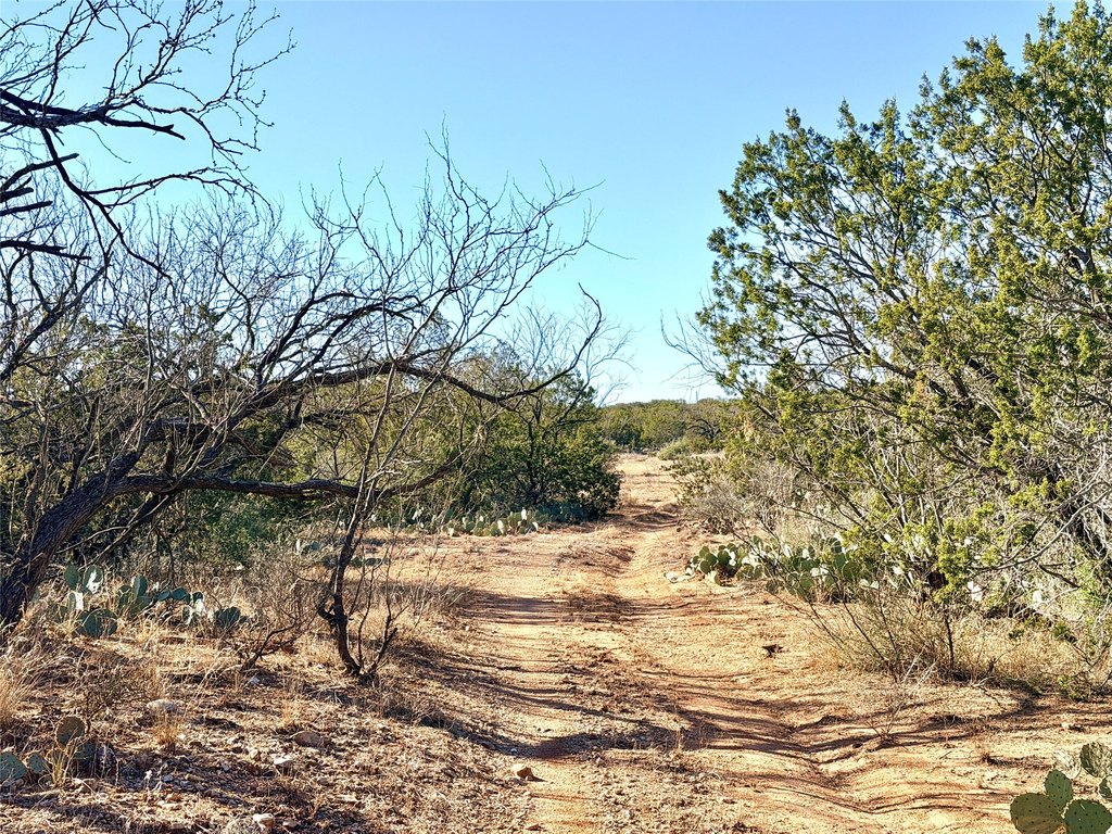 Picture 27