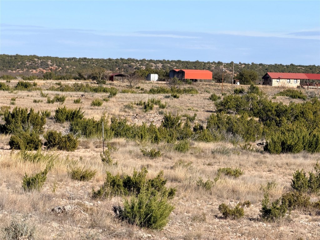 Picture 24