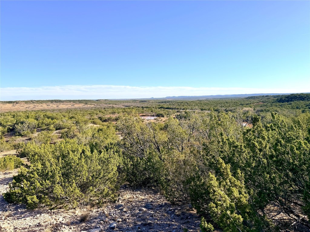 Picture 33