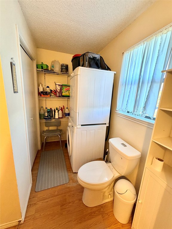Picture 16
