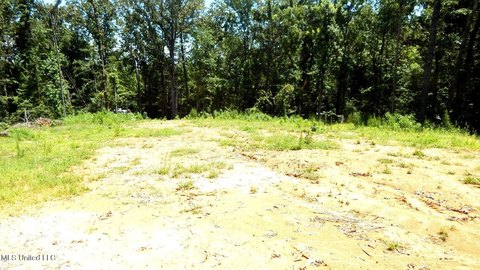 Sardis Lake Area Wooded Land