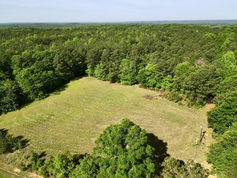 Recreational Timber and Hunting Land