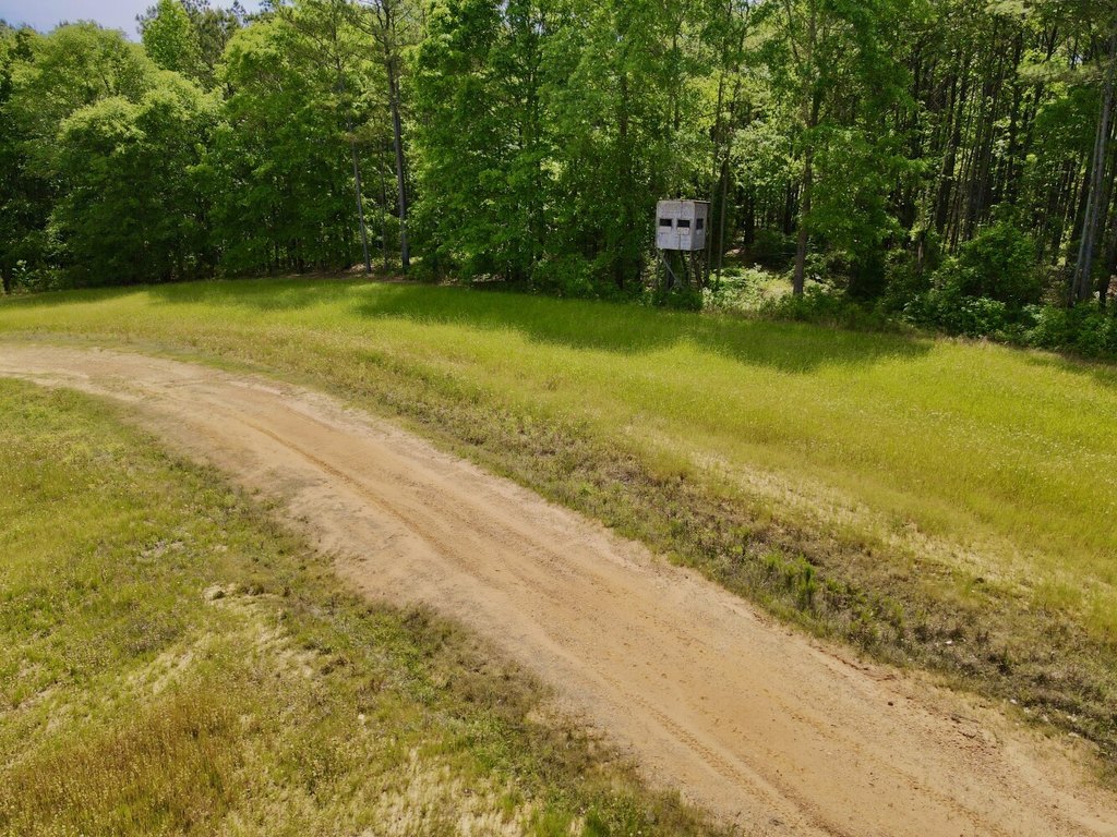 Picture 22