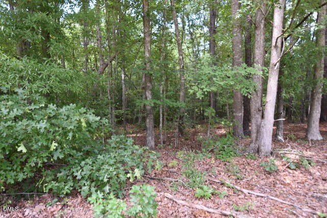 Picture 13