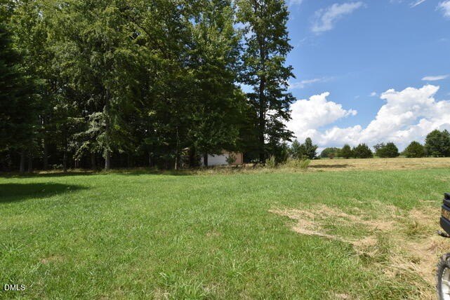 Picture 7