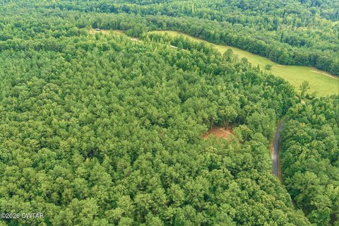 Timber & Open Acreage Tract