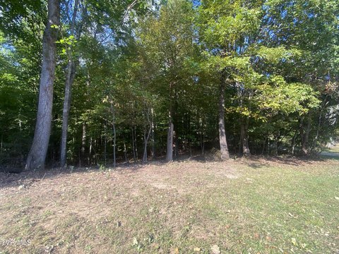 Land, Piney Flats, TN