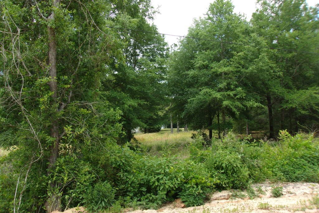 Picture 2