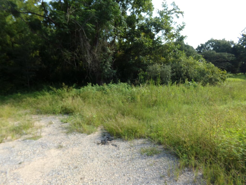 Picture 8