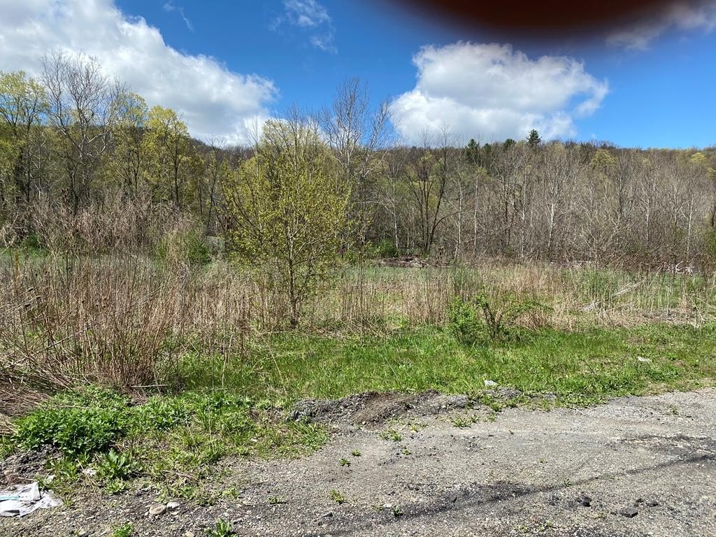 Picture 21
