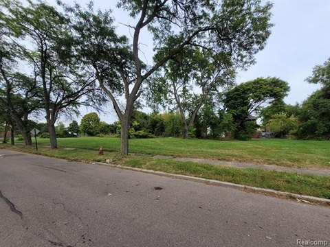 Residential Land in Islandview Detroit