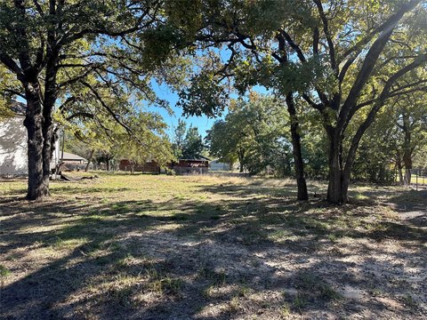 Cleared Land Near Cedar Creek