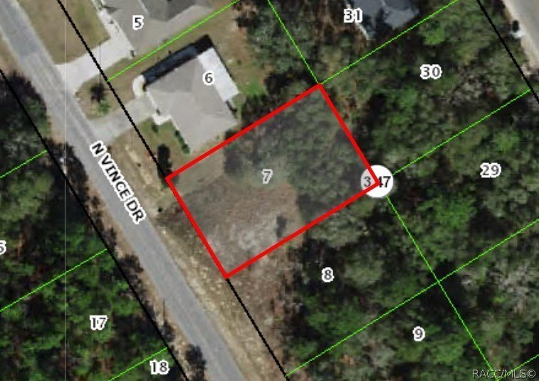 Citrus Springs Buildable Residential Lot