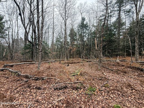 Becket, MA Land Parcel