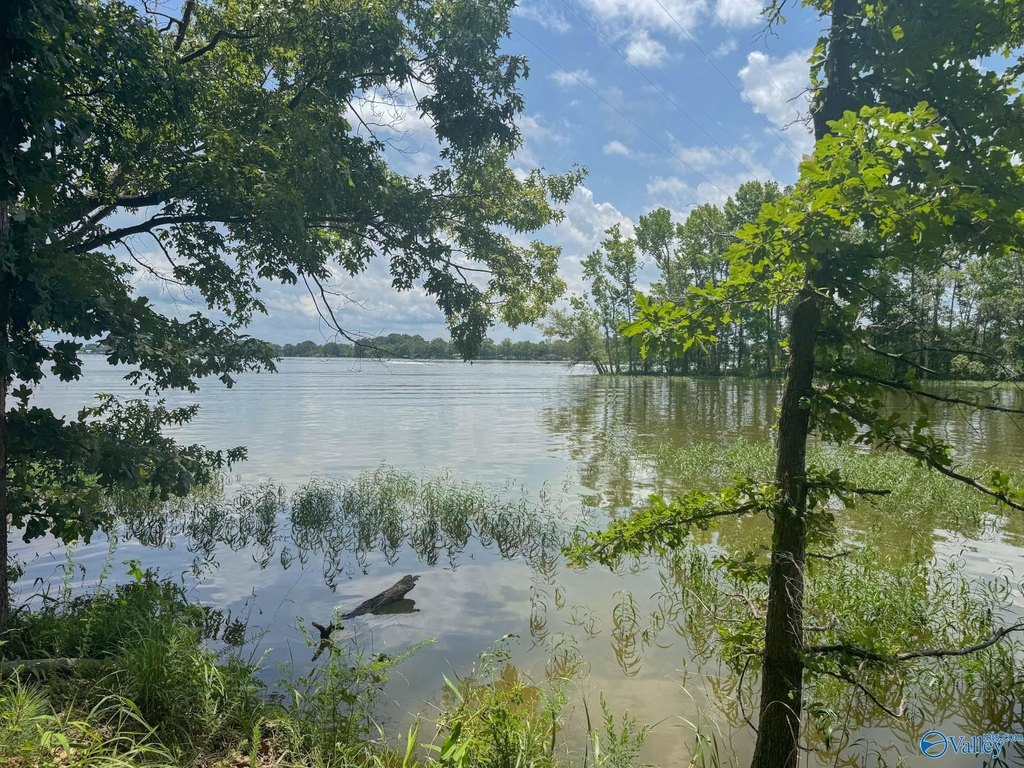 Picture 26