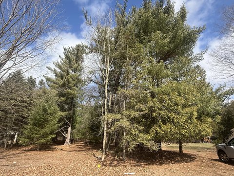 Pentwater Land with Picturesque Stream