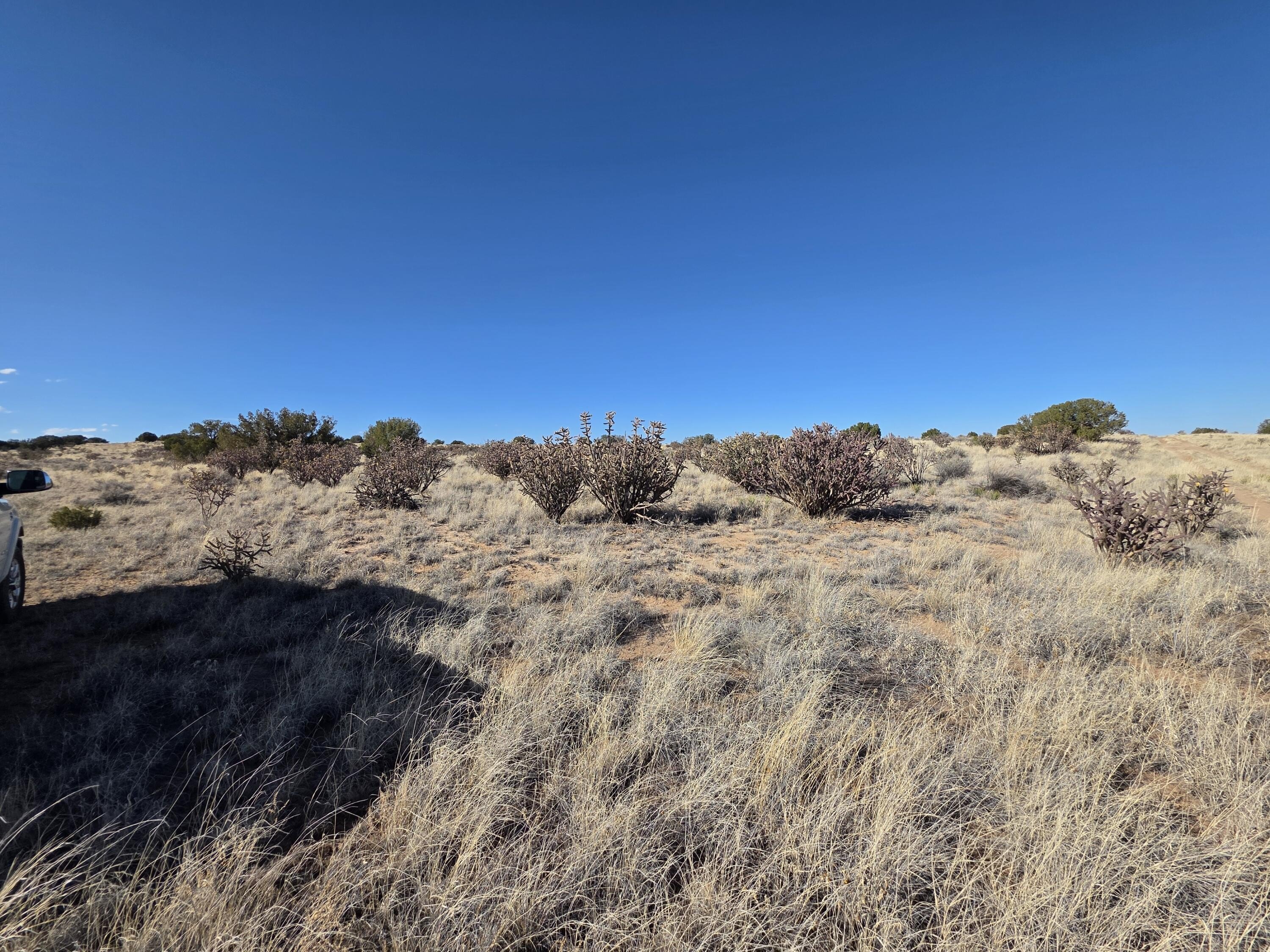 Land in Rio Rancho Estates