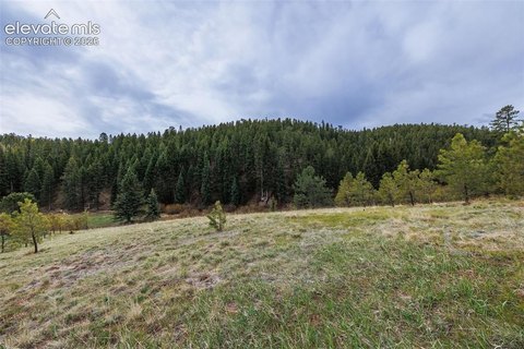Land with Year-Round Stream