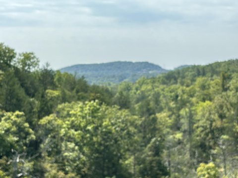 Residential Lot in Golfing Community