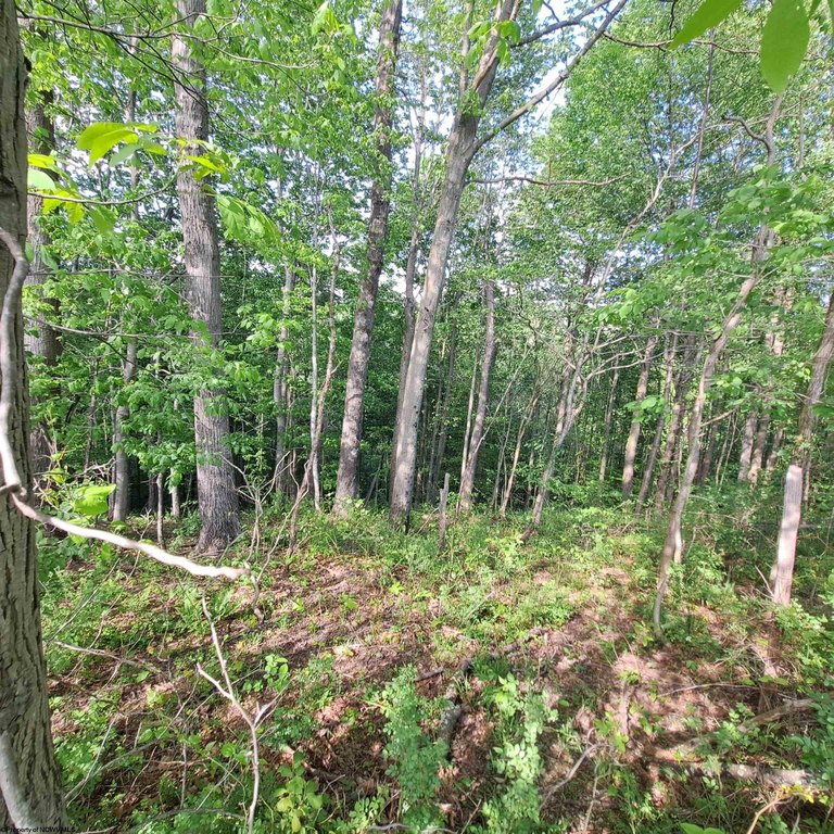 Picture 6
