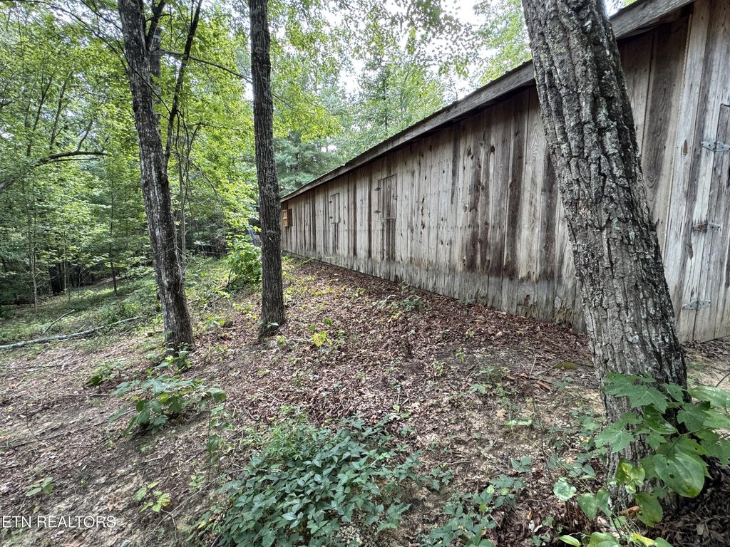 Picture 10