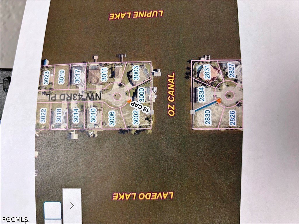 Picture 7