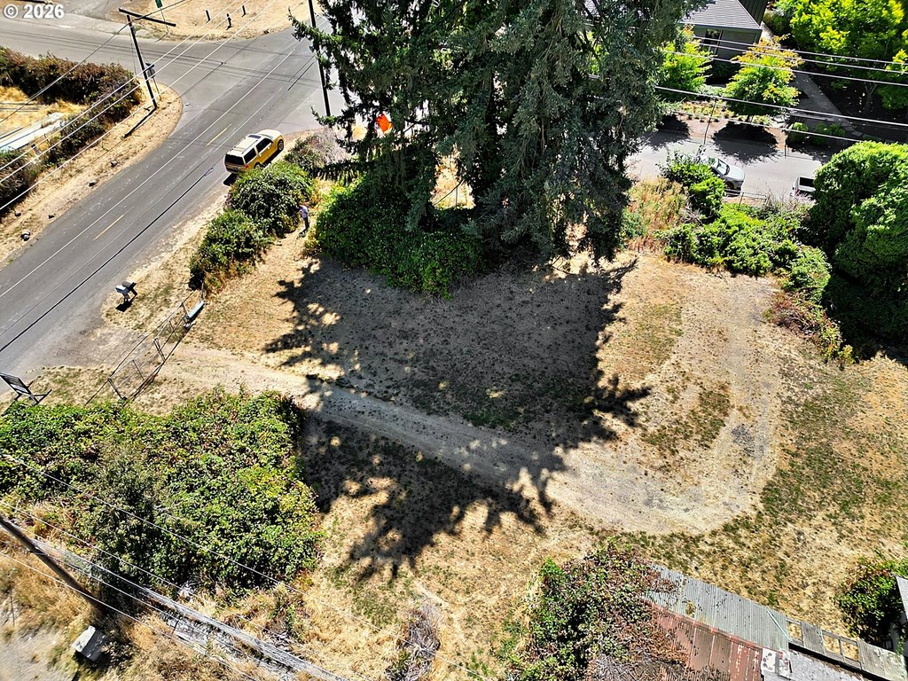 Picture 11