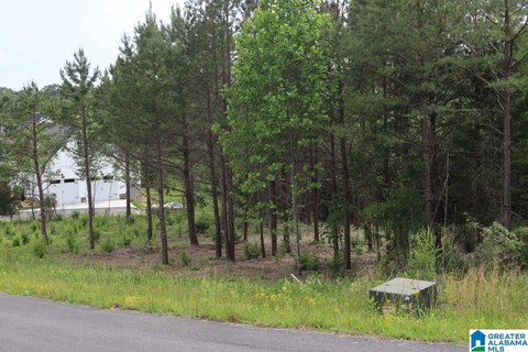 LAND/LOTS, FT PAYNE, AL