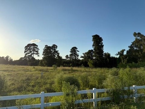 Commercial Land on Highway 271