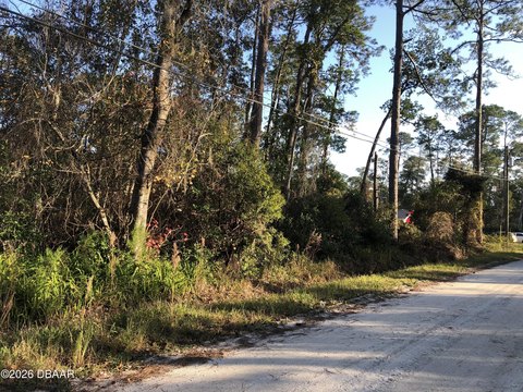Residential Land in DeLand, FL