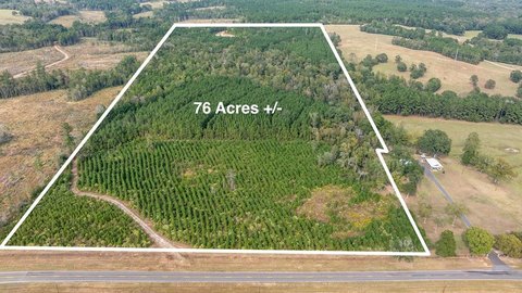 76.68 Acres Recreational Timber Tract