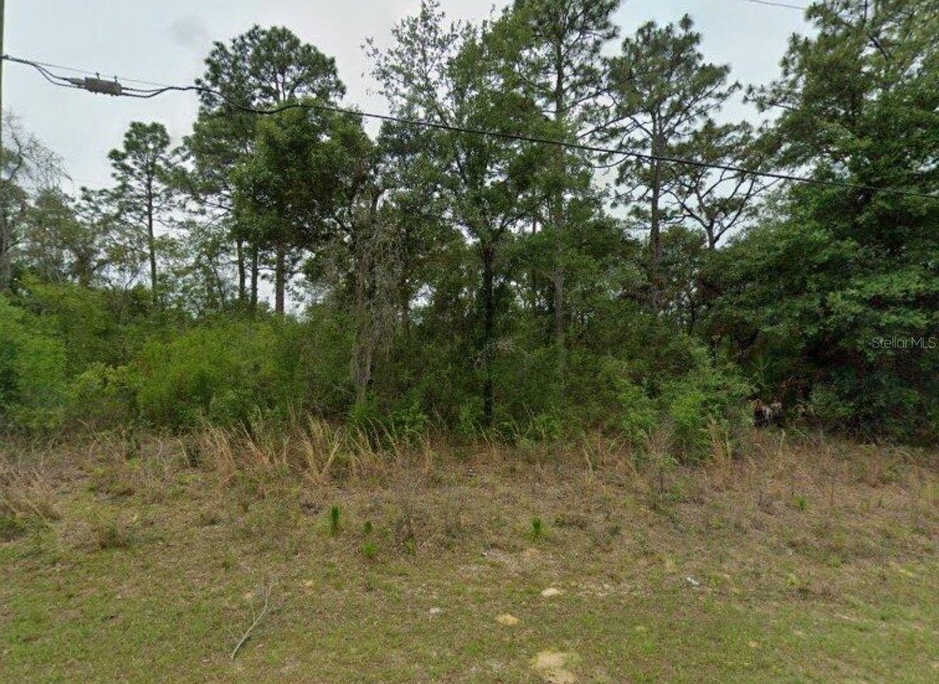 Citrus Springs Land Opportunity