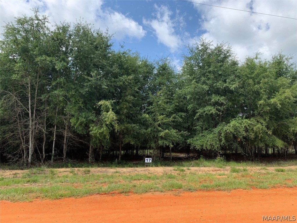 Land in Miller's Ferry Area