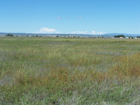 60 AC Land in McIntosh