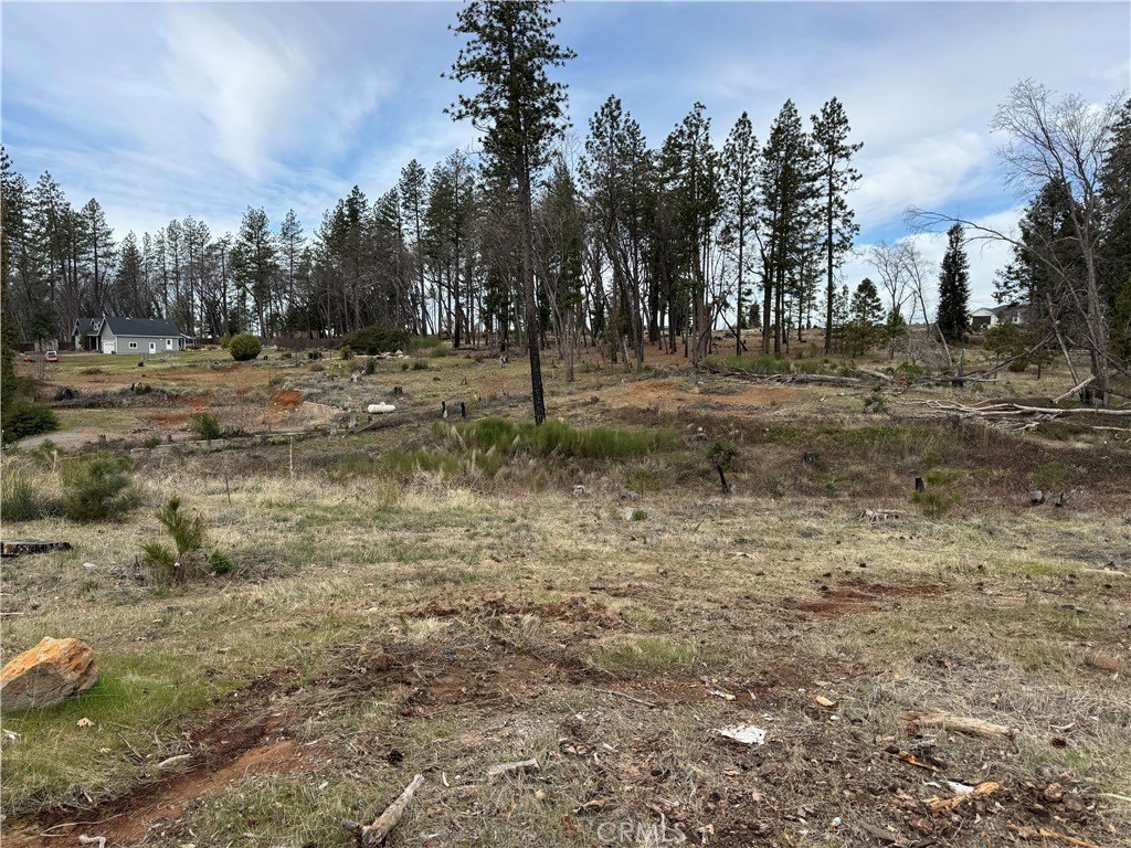 Commercial Land with Road Frontage
