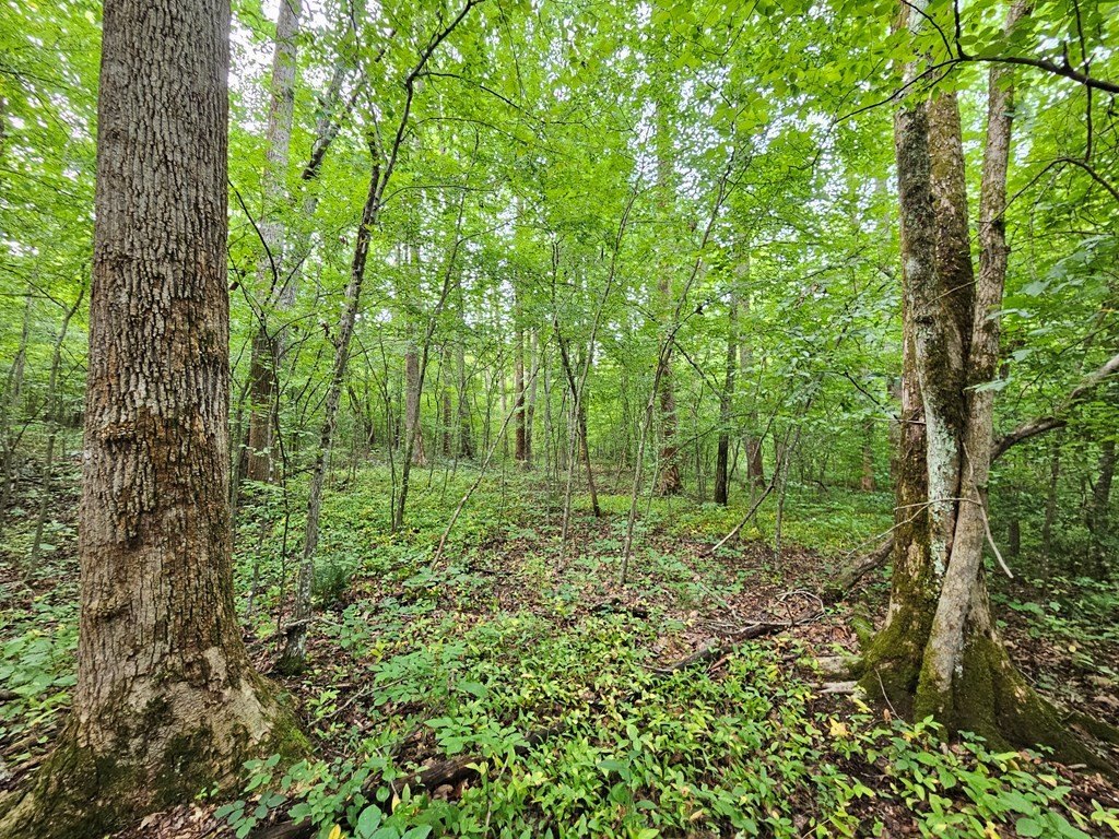 Picture 19