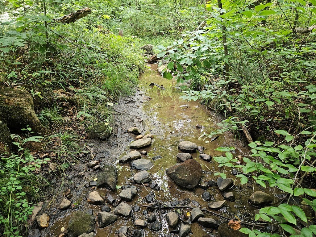 Picture 17